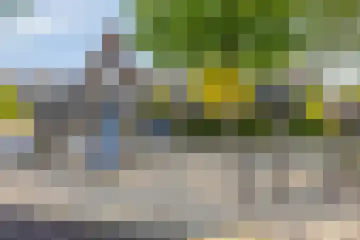 Biesveld 7 Someren thumbnail 50