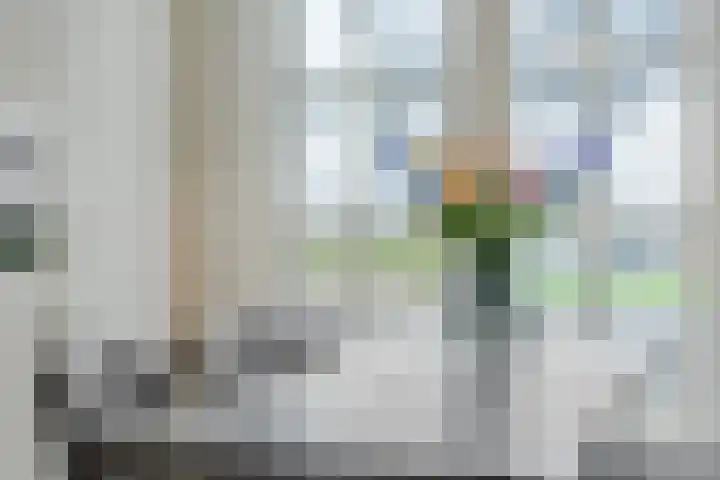 Biesveldje 21 Helmond thumbnail 15
