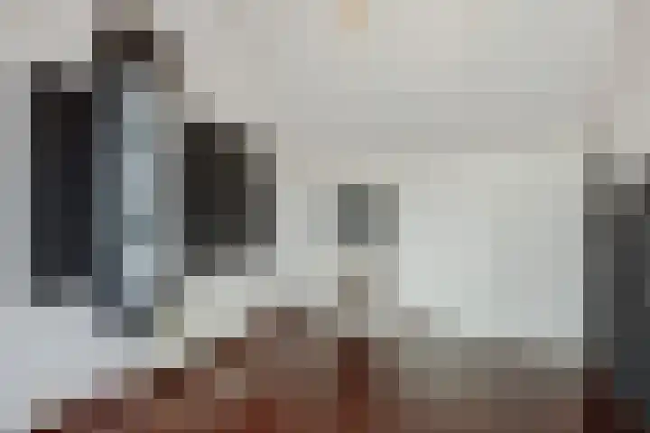 Biesveldje 21 Helmond thumbnail 28