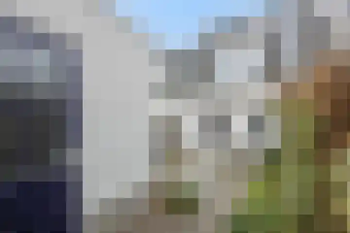 Biesveldje 21 Helmond thumbnail 33