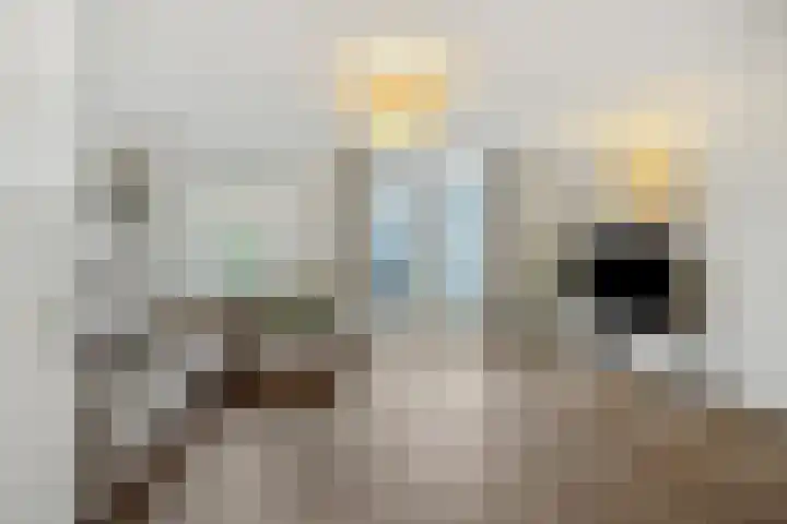 Biesveldje 21 Helmond thumbnail 7