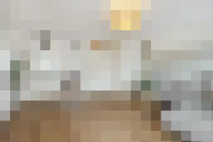Biesveldje 21 Helmond thumbnail 9
