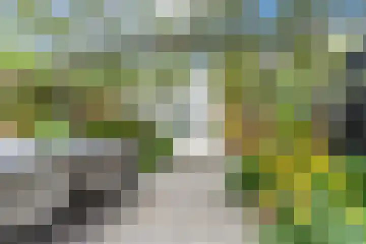 Biesveldje 5 Helmond thumbnail 28