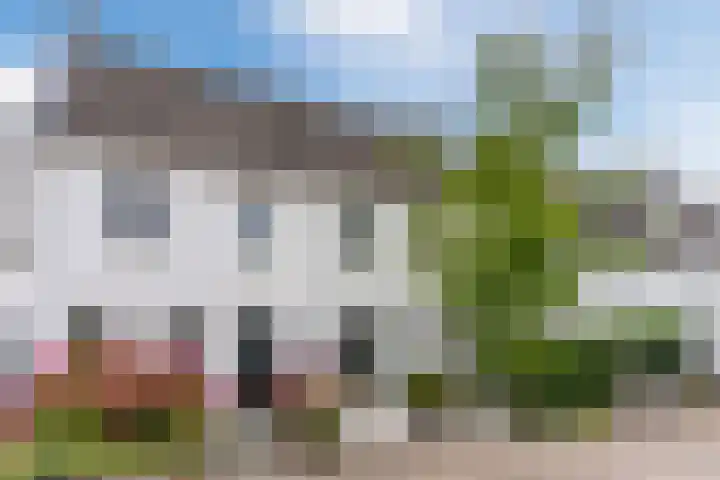 Biesveldje 5 Helmond thumbnail 42