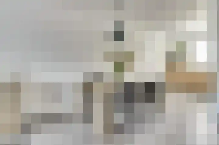 Bieze 21 Vinkel thumbnail 11