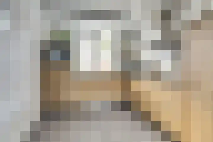 Bieze 21 Vinkel thumbnail 12