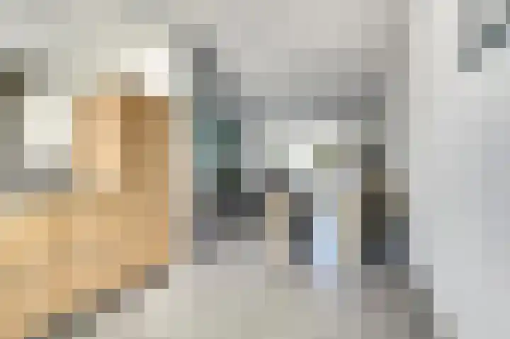 Bieze 21 Vinkel thumbnail 13