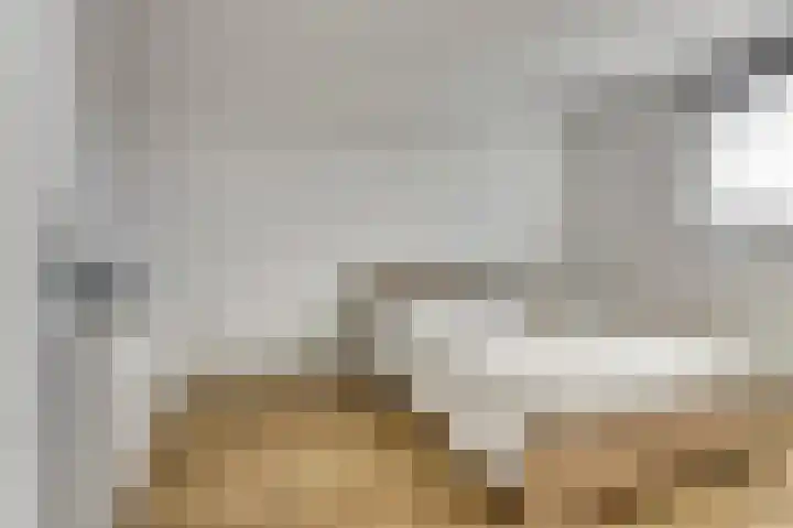 Bieze 21 Vinkel thumbnail 19