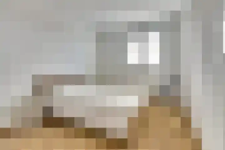 Bieze 21 Vinkel thumbnail 20