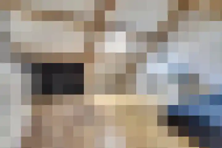 Bieze 21 Vinkel thumbnail 27