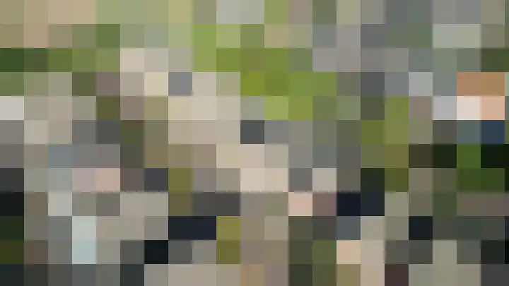 Bieze 21 Vinkel thumbnail 37