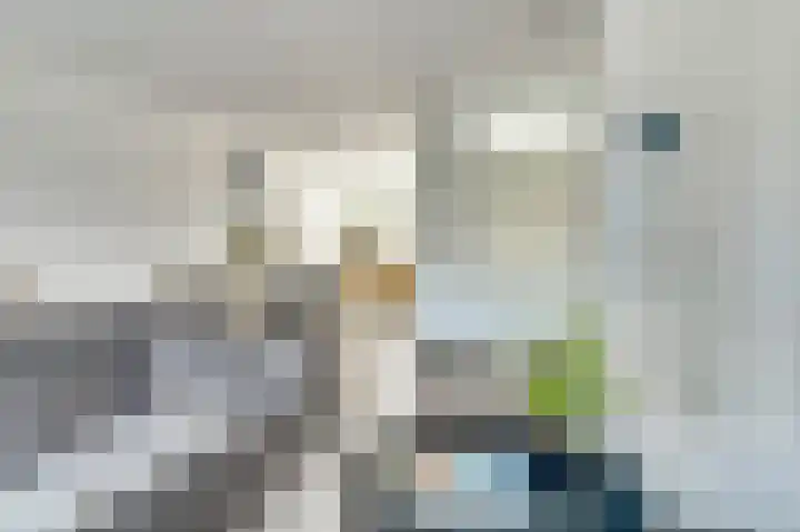 Bieze 21 Vinkel thumbnail 9