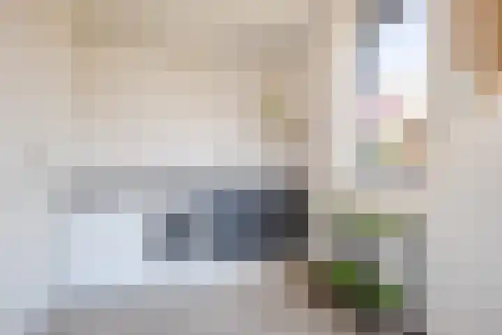 Biezebeek 3 Veldhoven thumbnail 10