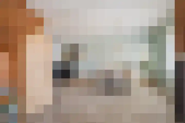 Biezebeek 3 Veldhoven thumbnail 13