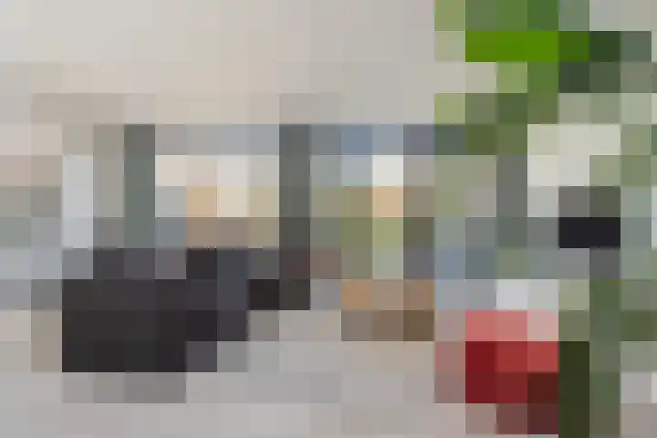 Biezebeek 3 Veldhoven thumbnail 14