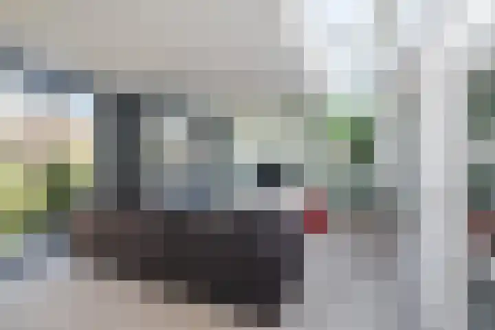 Biezebeek 3 Veldhoven thumbnail 16