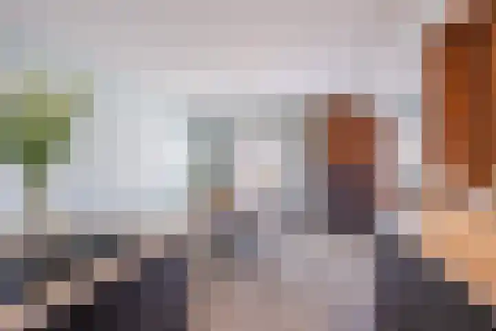 Biezebeek 3 Veldhoven thumbnail 22