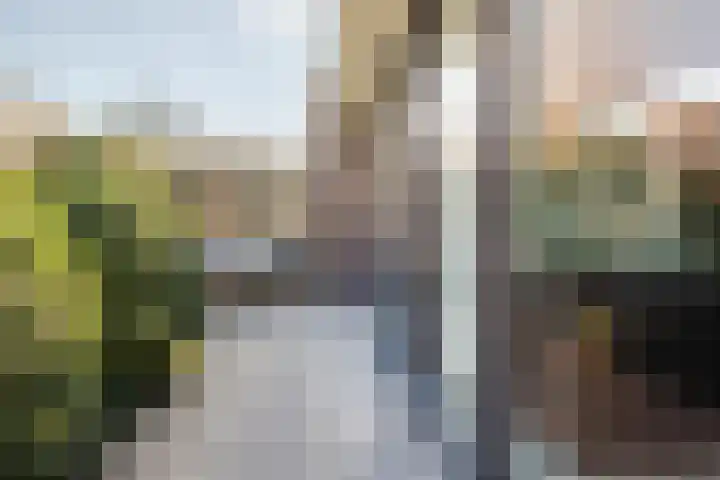 Biezebeek 3 Veldhoven thumbnail 36