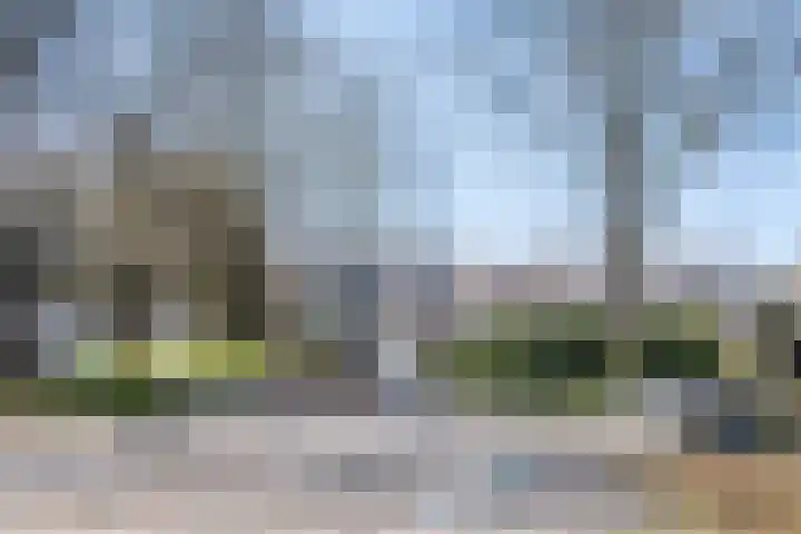 Biezebeek 3 Veldhoven thumbnail 46