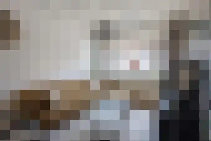 Biezen 34 Dongen thumbnail 12