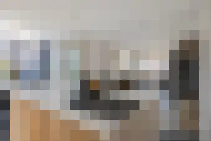 Biezen 34 Dongen thumbnail 19