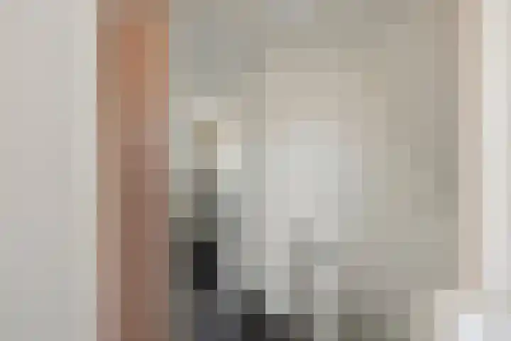 Biezen 34 Dongen thumbnail 25