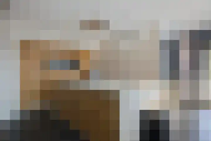 Biezen 34 Dongen foto 3