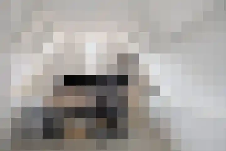 Biezen 34 Dongen thumbnail 34