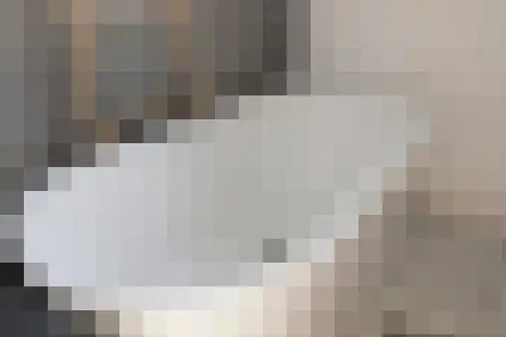 Biezen 34 Dongen thumbnail 38