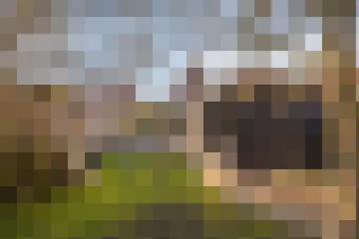 Biezen 34 Dongen thumbnail 44