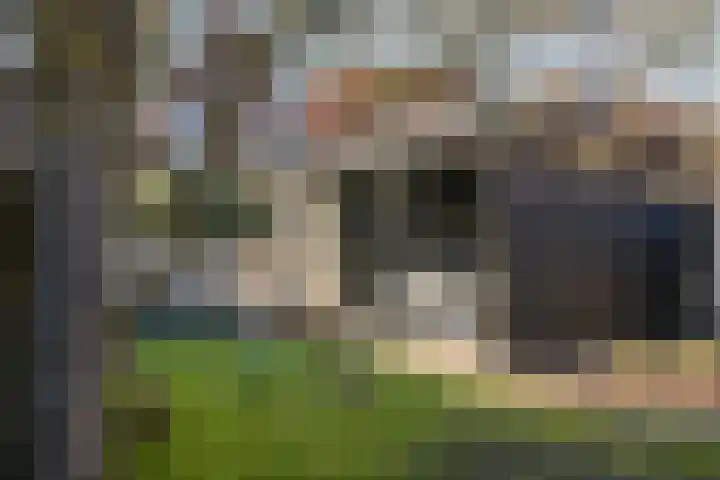 Biezen 34 Dongen thumbnail 45