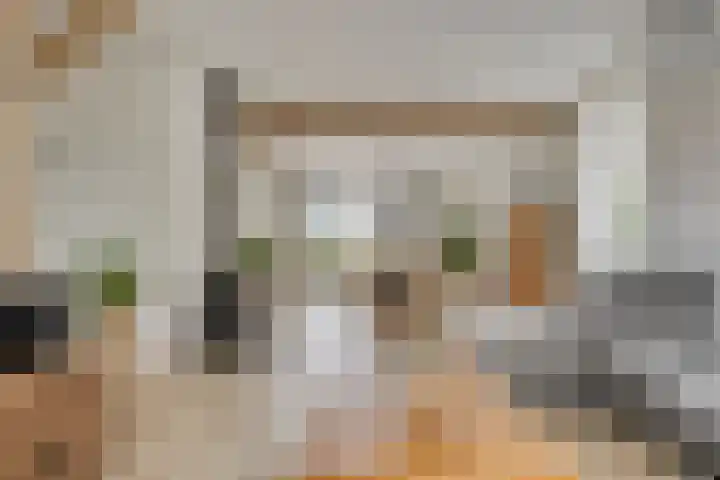 Biezendijk 34 Veghel thumbnail 14