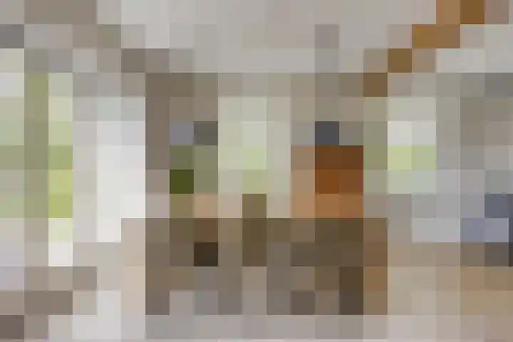 Biezendijk 34 Veghel thumbnail 17