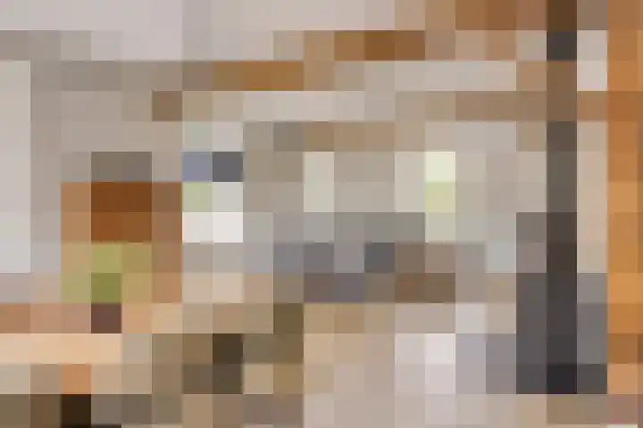 Biezendijk 34 Veghel thumbnail 18