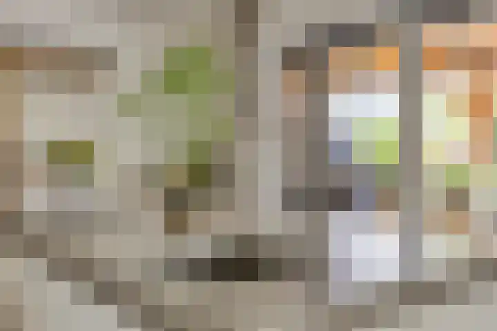Biezendijk 34 Veghel thumbnail 25