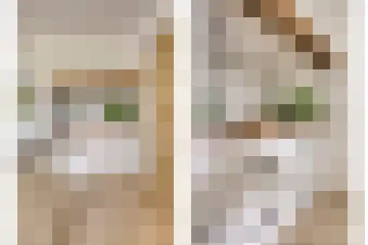 Biezendijk 34 Veghel thumbnail 27