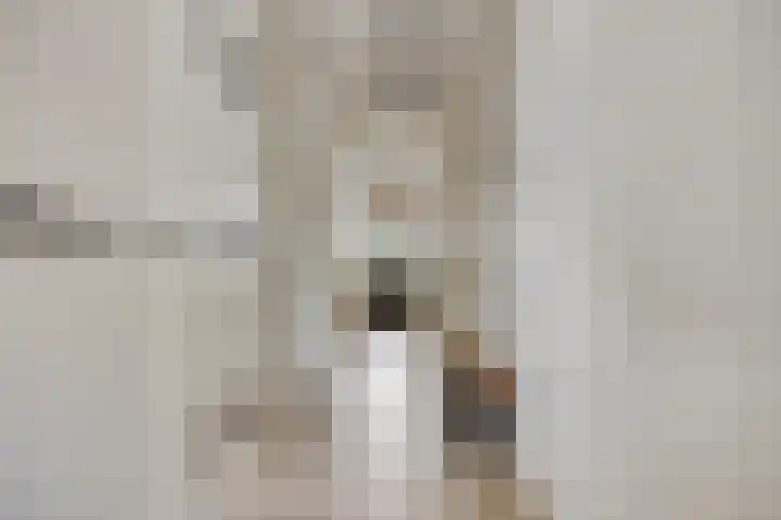Biezendijk 34 Veghel thumbnail 29