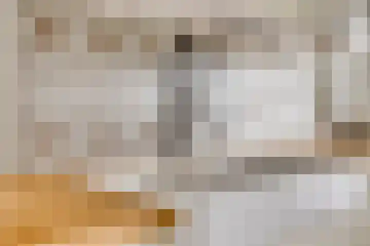 Biezendijk 34 Veghel thumbnail 31