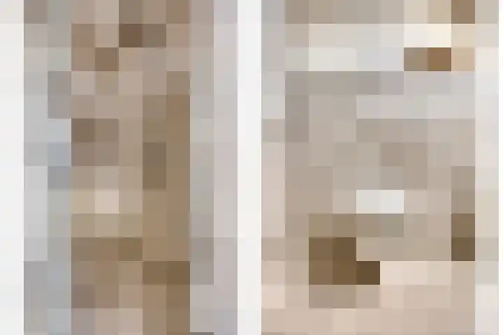 Biezendijk 34 Veghel thumbnail 34