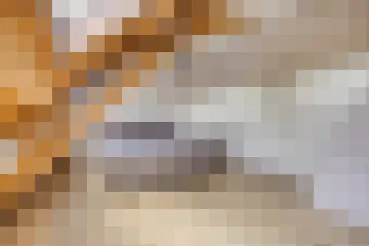 Biezendijk 34 Veghel thumbnail 35