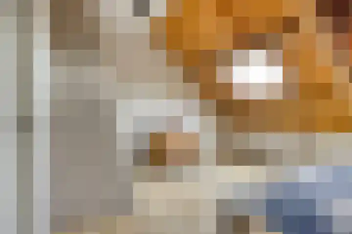 Biezendijk 34 Veghel thumbnail 37