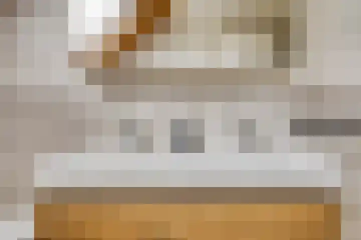 Biezendijk 34 Veghel thumbnail 39