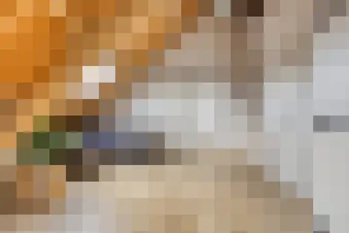 Biezendijk 34 Veghel thumbnail 42