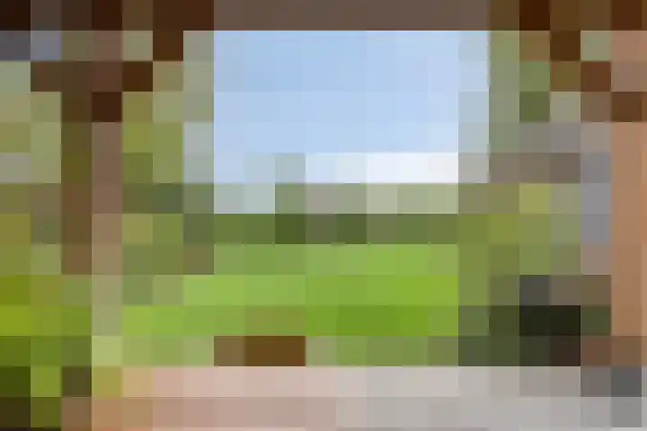 Biezendijk 34 Veghel thumbnail 50