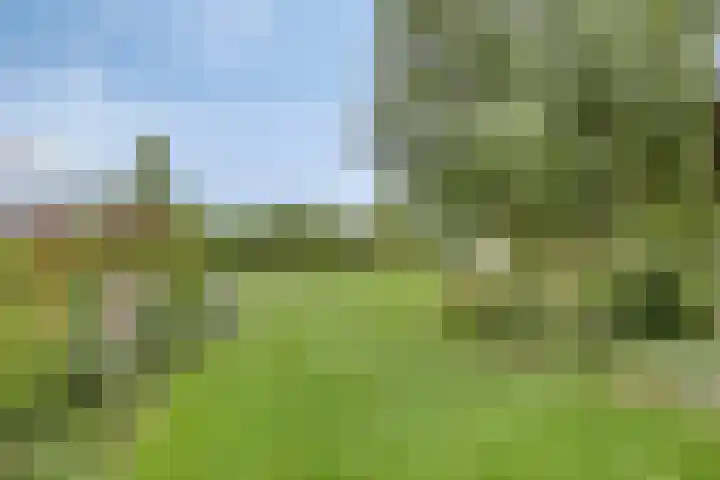 Biezendijk 34 Veghel thumbnail 51