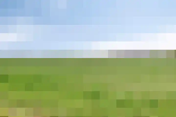 Biezendijk 34 Veghel thumbnail 53