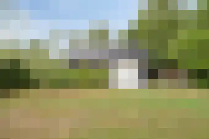 Biezendijk 34 Veghel thumbnail 54