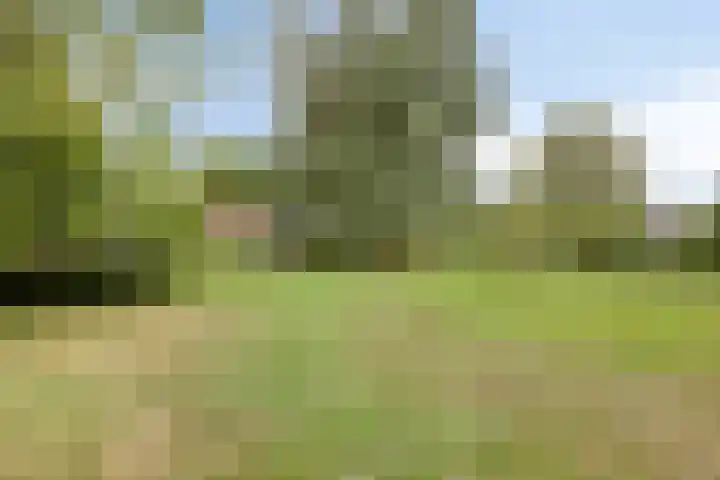 Biezendijk 34 Veghel thumbnail 55