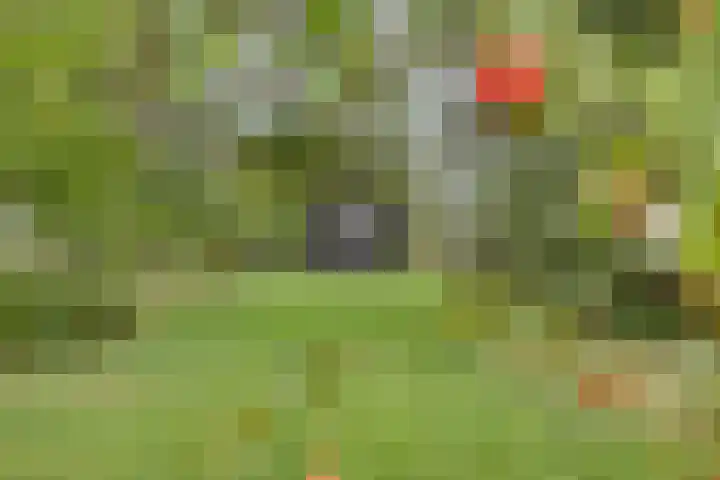 Biezendijk 34 Veghel thumbnail 56