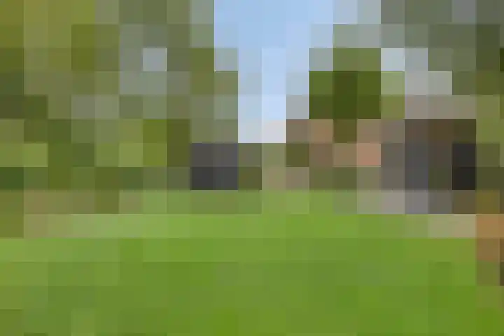 Biezendijk 34 Veghel thumbnail 60